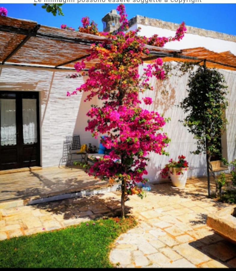 Room In Bb - Stunning Quadruple Room In Ancient Masseria Near The Sea In A Quiet Olive Trees Остуні Екстер'єр фото
